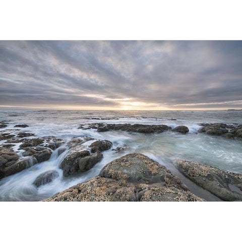 Kalaloch Beach 4 at sunset-Olympic National Park-Washington State Black Modern Wood Framed Art Print by Majchrowicz, Alan