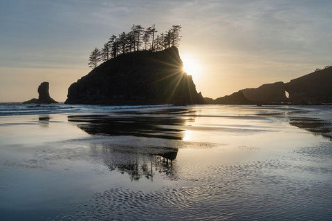 Sunset at Second Beach during low tide-Olympic National Park-Washington State White Modern Wood Framed Art Print with Double Matting by Majchrowicz, Alan