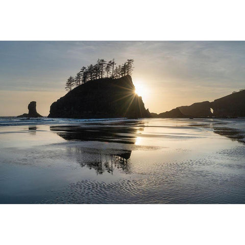 Sunset at Second Beach during low tide-Olympic National Park-Washington State Black Modern Wood Framed Art Print with Double Matting by Majchrowicz, Alan
