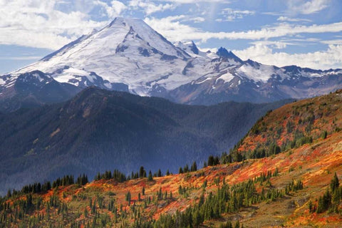 WA, Mount Baker from Yellow Aster Butte Trail White Modern Wood Framed Art Print with Double Matting by Paulson, Don