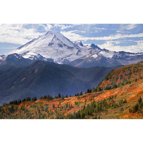 WA, Mount Baker from Yellow Aster Butte Trail Gold Ornate Wood Framed Art Print with Double Matting by Paulson, Don