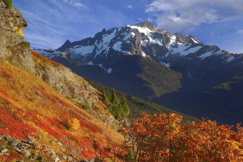 WA, Mount Baker Wilderness View of Mount Shuksan White Modern Wood Framed Art Print with Double Matting by Paulson, Don