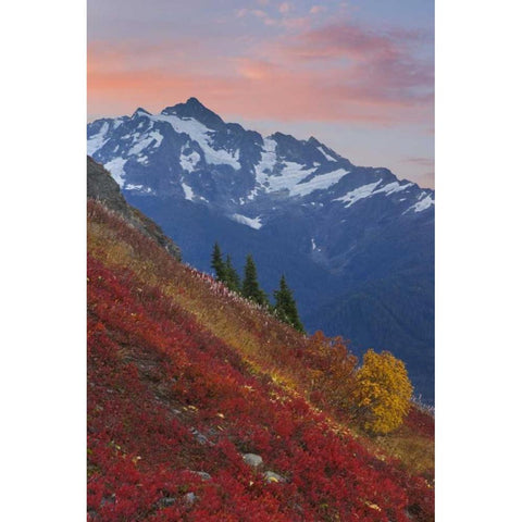 WA, Mount Baker Wilderness View of Mount Shuksan Gold Ornate Wood Framed Art Print with Double Matting by Paulson, Don