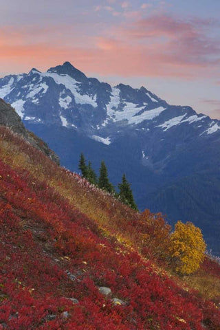 WA, Mount Baker Wilderness View of Mount Shuksan White Modern Wood Framed Art Print with Double Matting by Paulson, Don