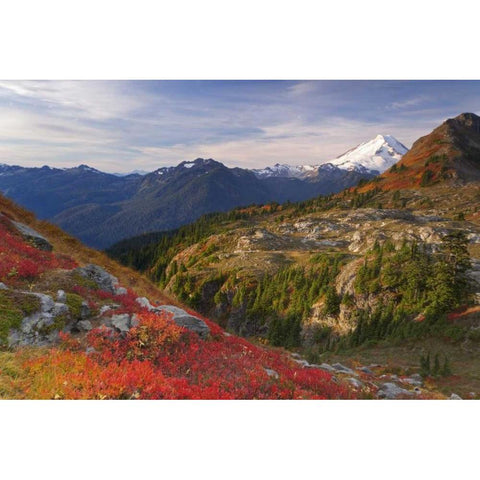 WA, Mount Baker Wilderness View of Mount Shuksan Gold Ornate Wood Framed Art Print with Double Matting by Paulson, Don