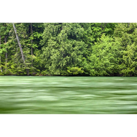 WA, Stehekin Stehekin River through the Cascades White Modern Wood Framed Art Print by Paulson, Don