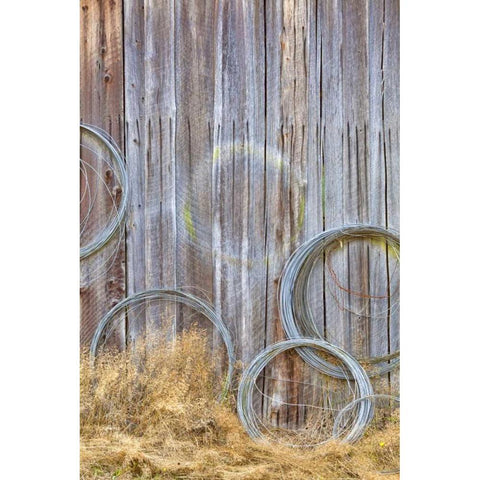 WA, Silverdale Wire coiled on barn wall Gold Ornate Wood Framed Art Print with Double Matting by Paulson, Don