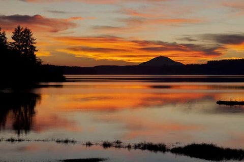 USA, Washington Sunset on Lake Quinault White Modern Wood Framed Art Print with Double Matting by Paulson, Don