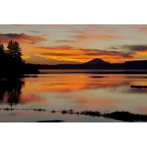 USA, Washington Sunset on Lake Quinault Black Modern Wood Framed Art Print with Double Matting by Paulson, Don