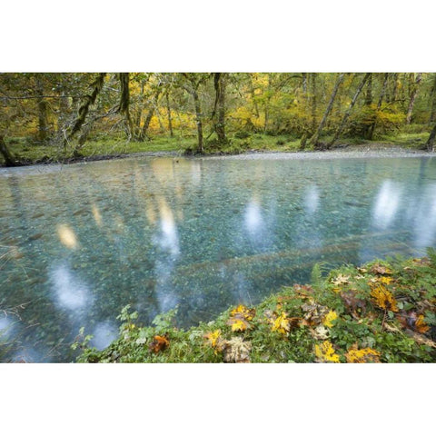 Washington Quinault River in the Olympic NP Black Modern Wood Framed Art Print with Double Matting by Paulson, Don
