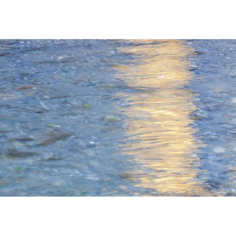 Washington Quinault River in the Olympic NP Black Modern Wood Framed Art Print with Double Matting by Paulson, Don