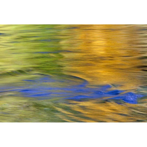 WA, Quinault Autumn reflect in Quinault River Gold Ornate Wood Framed Art Print with Double Matting by Paulson, Don
