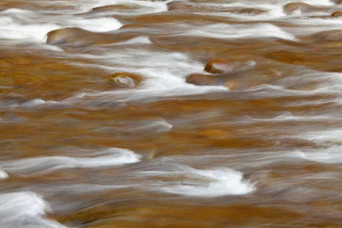 WA, Olympic NP autumn reflects in Solduc River Black Ornate Wood Framed Art Print with Double Matting by Paulson, Don