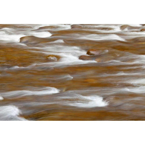 WA, Olympic NP autumn reflects in Solduc River White Modern Wood Framed Art Print by Paulson, Don