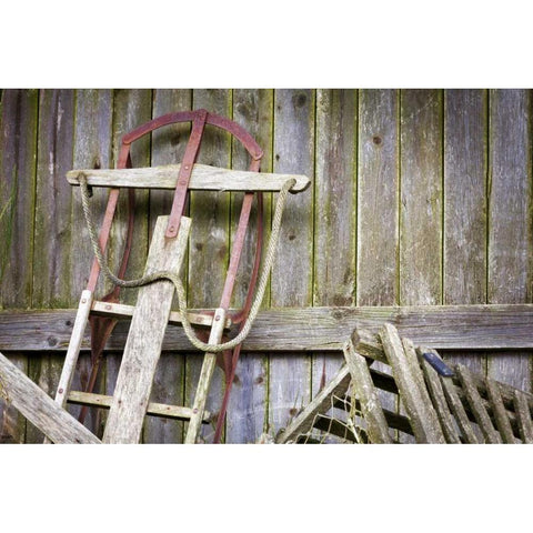 USA, Washington, Belfair Old sled in storage Black Modern Wood Framed Art Print with Double Matting by Paulson, Don