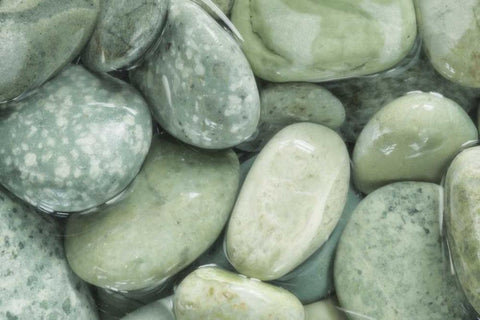 USA, Washington, Seabeck Close-up of wet rocks White Modern Wood Framed Art Print with Double Matting by Paulson, Don