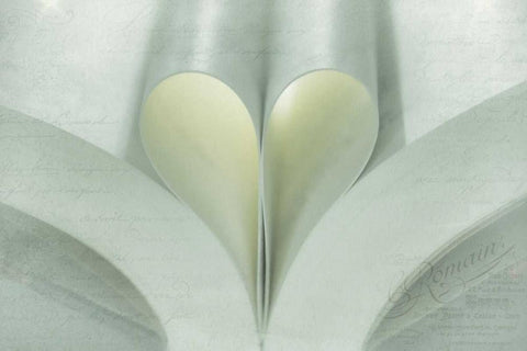 WA, Seabeck Open book with pages forming a heart White Modern Wood Framed Art Print with Double Matting by Paulson, Don