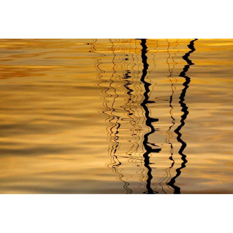 Washington Sailboat mast reflection at sunset Gold Ornate Wood Framed Art Print with Double Matting by Paulson, Don