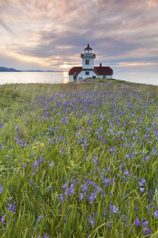 Washington Sunset on Patos Island Lighthouse White Modern Wood Framed Art Print with Double Matting by Paulson, Don