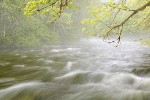 WA, Cascade Mts Cascading water in Beckler River White Modern Wood Framed Art Print with Double Matting by Paulson, Don