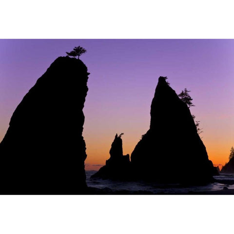WA, Olympic NP Sunset on Rialto Beach sea stacks Gold Ornate Wood Framed Art Print with Double Matting by Paulson, Don