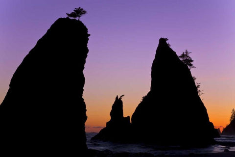 WA, Olympic NP Sunset on Rialto Beach sea stacks White Modern Wood Framed Art Print with Double Matting by Paulson, Don