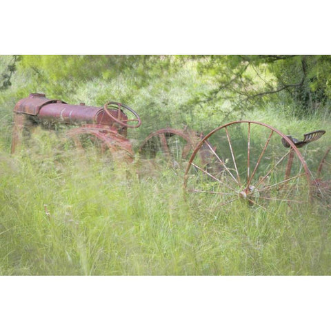 WA, Seabeck Rusty old tractor in grasses Gold Ornate Wood Framed Art Print with Double Matting by Paulson, Don