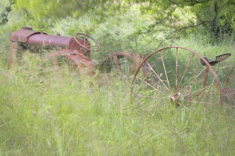WA, Seabeck Rusty old tractor in grasses White Modern Wood Framed Art Print with Double Matting by Paulson, Don