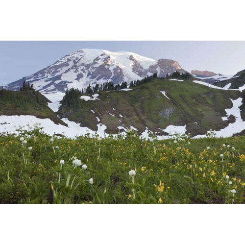 WA, Mt Rainier NP Sunrise on meadow with flowers Gold Ornate Wood Framed Art Print with Double Matting by Paulson, Don