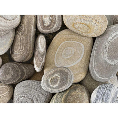Washington, Seabeck Close-up of beach stones Gold Ornate Wood Framed Art Print with Double Matting by Paulson, Don