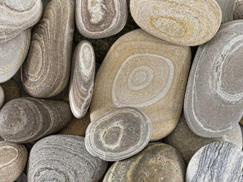 Washington, Seabeck Close-up of beach stones White Modern Wood Framed Art Print with Double Matting by Paulson, Don