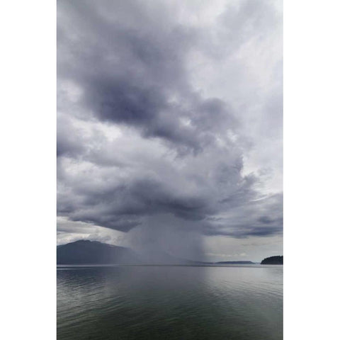 Washington, Seabeck Rainstorm over Hood Canal Gold Ornate Wood Framed Art Print with Double Matting by Paulson, Don