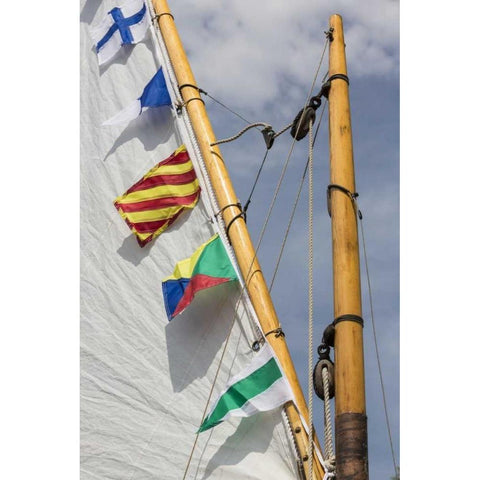 WA, Boat sail and flags at Bainbridge Island Gold Ornate Wood Framed Art Print with Double Matting by Paulson, Don