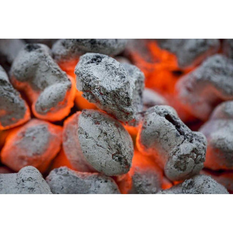 Washington, Seabeck Close-up of hot charcoal White Modern Wood Framed Art Print by Paulson, Don