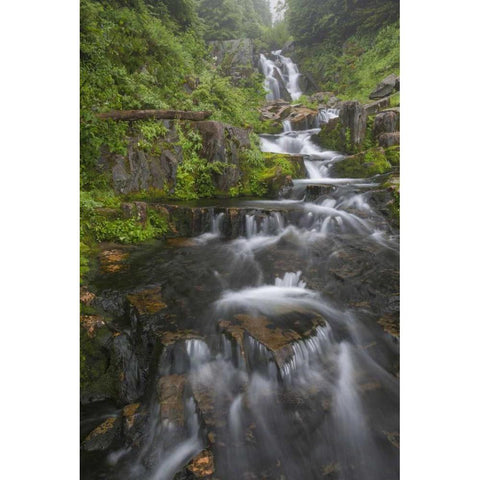 WA, Mount Rainier NP Cascades on Sunbeam Creek White Modern Wood Framed Art Print by Paulson, Don