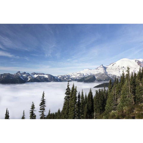 Washington, Mount Rainier NP Sunrise Point White Modern Wood Framed Art Print by Paulson, Don
