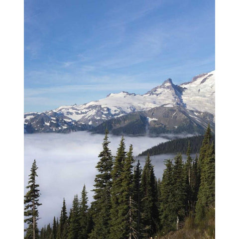 Washington, Mount Rainier NP Sunrise Point Gold Ornate Wood Framed Art Print with Double Matting by Paulson, Don