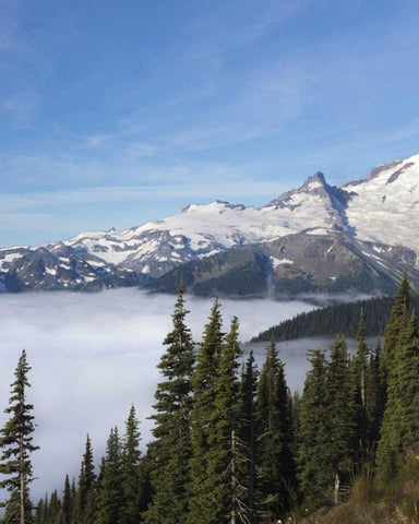 Washington, Mount Rainier NP Sunrise Point White Modern Wood Framed Art Print with Double Matting by Paulson, Don