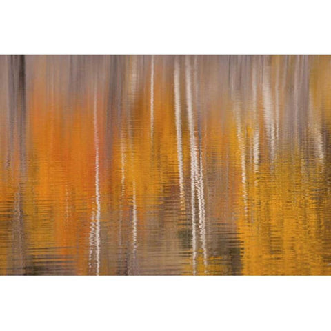 WA, Winthrop Autumn reflections on Beaver Pond Gold Ornate Wood Framed Art Print with Double Matting by Paulson, Don