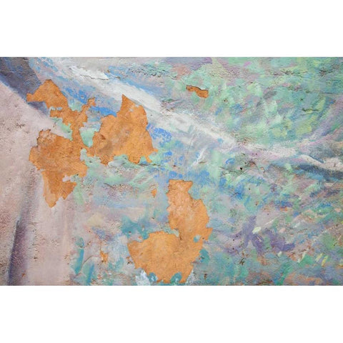 Washington, Fort Hayden Abstract painted wall Gold Ornate Wood Framed Art Print with Double Matting by Paulson, Don