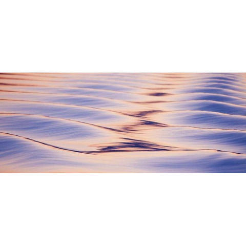 Alaska, Icy Straight Sunset reflections on water White Modern Wood Framed Art Print by Paulson, Don