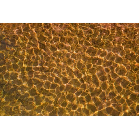 UT, Glen Canyon Sunlight in shallow water Gold Ornate Wood Framed Art Print with Double Matting by Paulson, Don