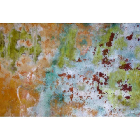 Washington, Fort Hayden Abstract painted wall Gold Ornate Wood Framed Art Print with Double Matting by Paulson, Don