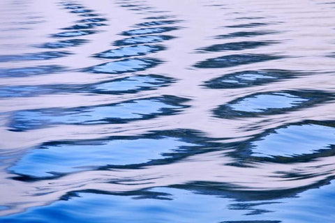 Canada, BC, Patterns in boat wake White Modern Wood Framed Art Print with Double Matting by Paulson, Don