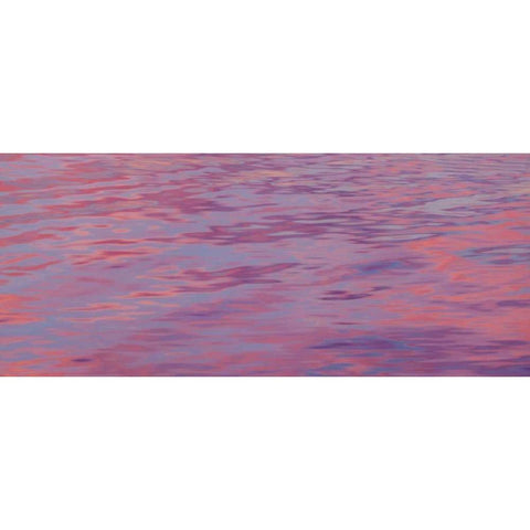 Washington, Hood Canal Sunset reflections White Modern Wood Framed Art Print by Paulson, Don