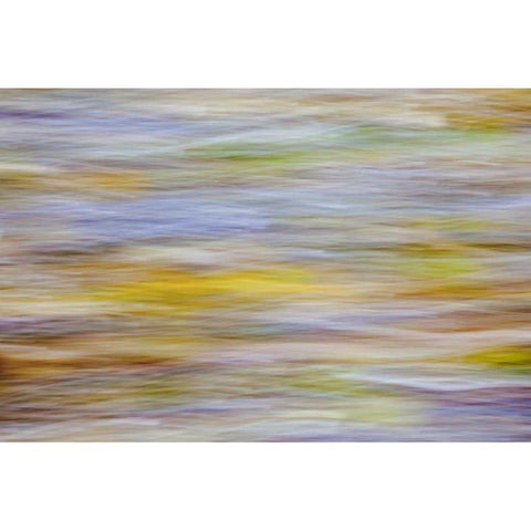 WA, Seabeck Motion blur of fall leaves on beach White Modern Wood Framed Art Print by Paulson, Don