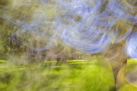 Mexico, Tecate Motion blurred outside abstract White Modern Wood Framed Art Print with Double Matting by Paulson, Don
