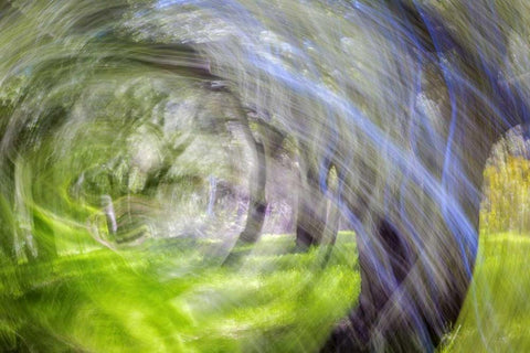 Mexico, Tecate Motion blurred outside abstract White Modern Wood Framed Art Print with Double Matting by Paulson, Don