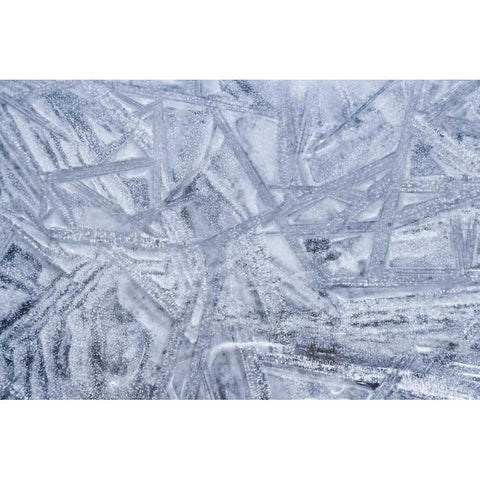 USA, Washington State, Seabeck Patterns on ice White Modern Wood Framed Art Print by Paulson, Don