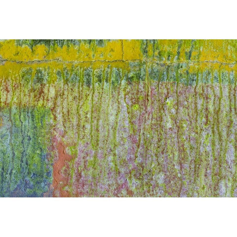 Washington, Fort Hayden Abstract painted wall Gold Ornate Wood Framed Art Print with Double Matting by Paulson, Don